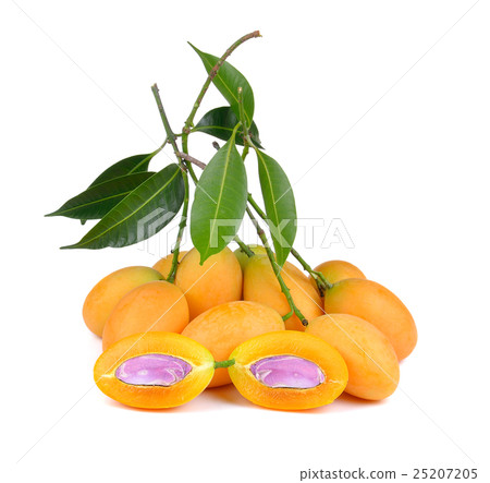 Marian plum thai fruit isolated on white backgroun 25207205