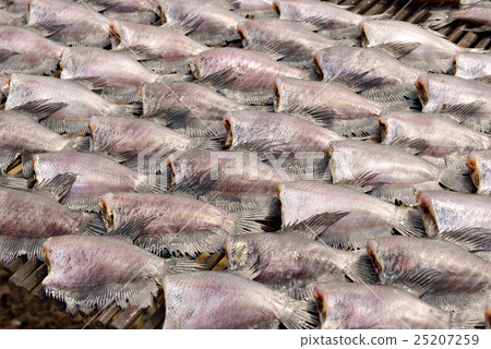 Sun dried salid fish before cooking sell Sun dried salid fish before cooking sell 25207259