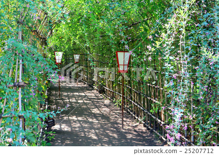 Hagi隧道在Mukojima Hyakuenen（10月）Sumida-ku，東京 25207712