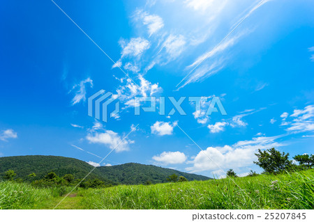 Mt. Mt.山,Ozaura的草原(Shobara市,廣島縣,Hanba-Azumayama山) Mt. Mt.山,Ozaura的草原(Shobara市,廣島縣,Hanba-Azumayama山) 25207845