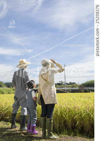 Rice farm family Rice farm family 25208276