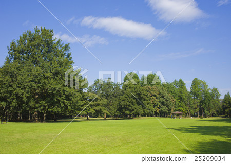 Fresh green park Fresh green park 25209034