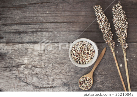 Quinoa on spoon Quinoa on spoon 25210842