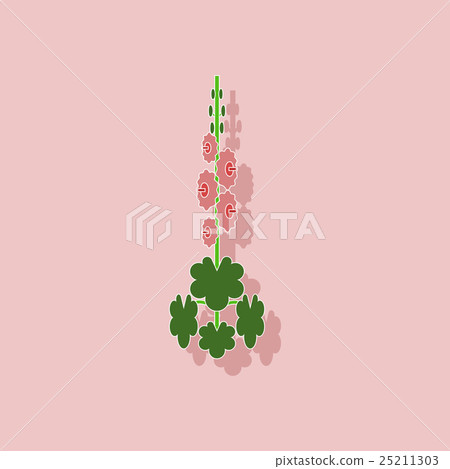 paper sticker on stylish background plant Malva paper sticker on stylish background plant Malva 25211303