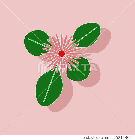 paper sticker on stylish background plant Bellis paper sticker on stylish background plant Bellis 25211403
