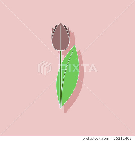 paper sticker on stylish background plant Tulipa paper sticker on stylish background plant Tulipa 25211405