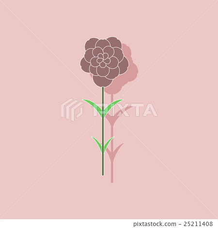 paper sticker on stylish background plant Dianthus 25211408