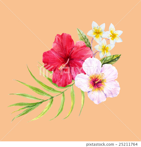 Watercolor tropical composition Watercolor tropical composition 25211764
