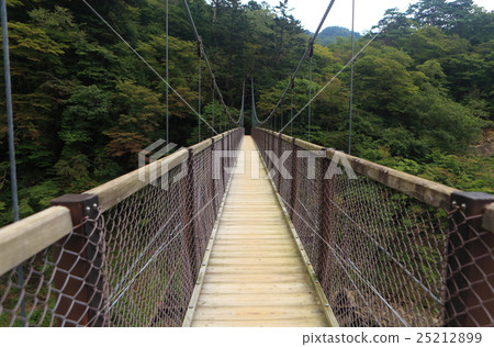 回顧懸索橋 回顧懸索橋 25212899