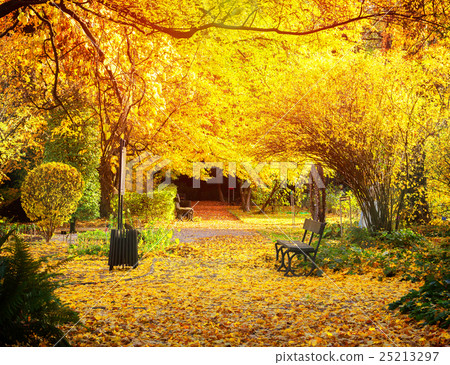 Fall park path Fall park path 25213297