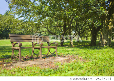 新鮮的綠色公園長椅 25213721