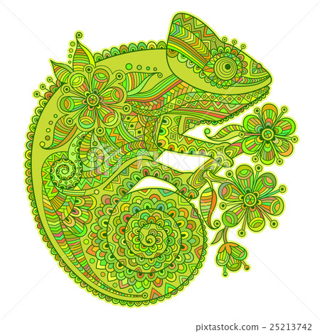 Vector illustration with a chameleon and beautiful 25213742