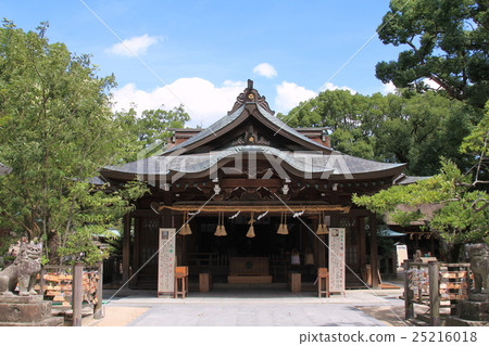 Umi Hachimangu Shrine 25216018