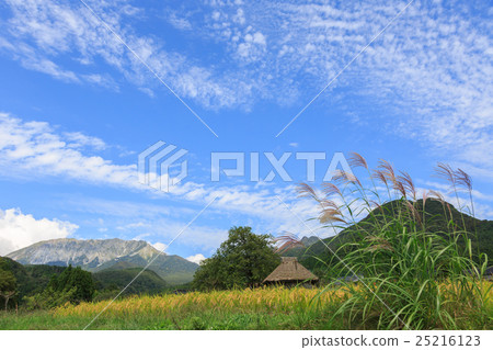 風景與Susuki和茅草屋9月 風景與Susuki和茅草屋9月 25216123