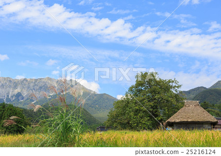 Scenery with Susuki and thatched hut September 25216124