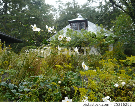 Picture Lesque Garden Picture Lesque Garden 25216292