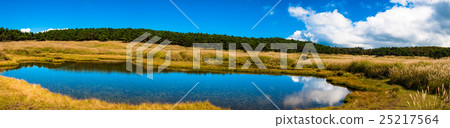 Mt. Mt. Wetland Area _ Kirishima Geopark 25217564