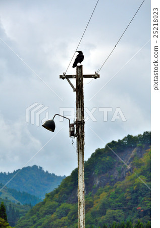 秋田內陸沿海鐵路 25218923