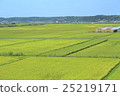 countryside 25219171