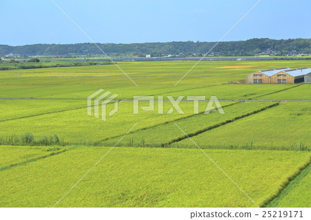 countryside 25219171