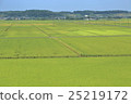countryside 25219172