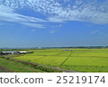 countryside 25219174
