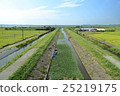 Rice field and irrigation canal 25219175