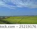 countryside 25219176