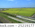 Rice field and irrigation canal 25219177