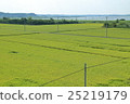 countryside 25219179