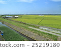 Rice field and irrigation canal 25219180