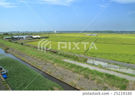 Rice field and irrigation canal 25219180