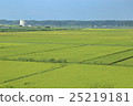 countryside 25219181
