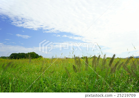 Heijo-kyo的早晨與雲彩美麗的標度 25219709