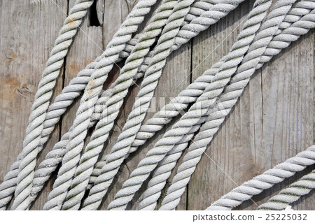 繩 繩 25225032