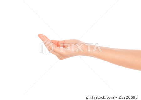Beautiful woman hand holding isolated on white background . Beautiful woman hand holding isolated on white background . 25226683