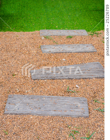 The Walk path in the park with green grass The Walk path in the park with green grass 25226789