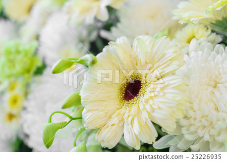 Beautiful flowers for valentines and wedding scene Beautiful flowers for valentines and wedding scene 25226935