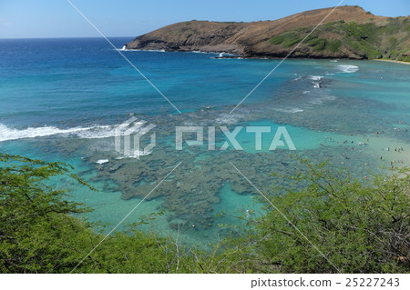 夏威夷海 25227243
