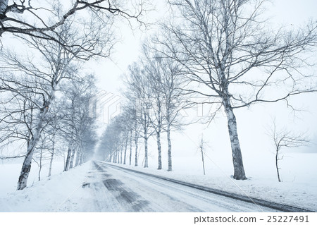 Winter road 25227491