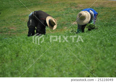 工作 工作 25228049