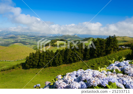 The landscape on Sao Miguel, Azores The landscape on Sao Miguel, Azores 25233711