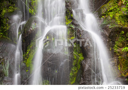 Achada waterfall,Sao Miguel, Azores 25233719