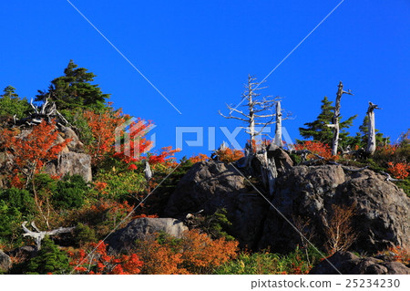 Autumn leaves of Hachimantaira Autumn leaves of Hachimantaira 25234230