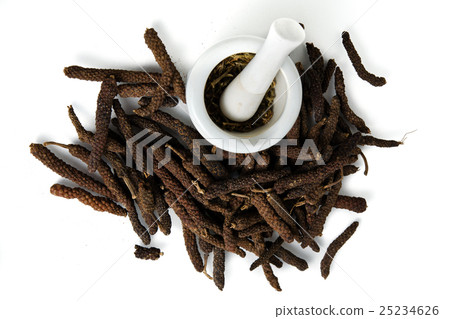 Long pepper or Pipli or Dipli (Piper longum) Long pepper or Pipli or Dipli (Piper longum) 25234626