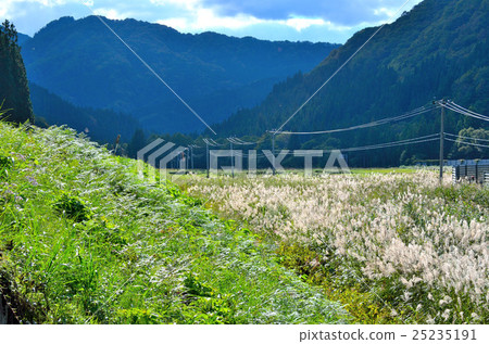 沿鐵路風景的秋田內陸內陸風景 25235191