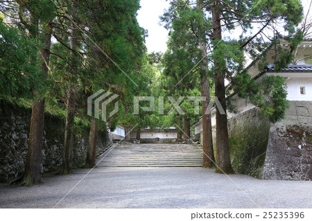 Rui Castle Ruins 25235396