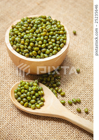 Mung bean seeds. 25235646