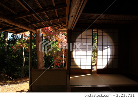 Autumn leaves of Konnoji Temple Autumn leaves of Konnoji Temple 25235731