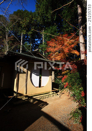 Autumn leaves of Konnoji Temple 25235733